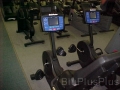 Stairmaster cycles * 640 x 480 * (119KB)
